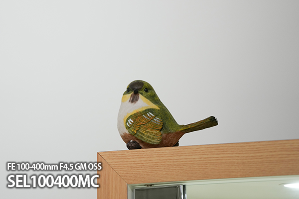 FE 400mm F4.5 GM OSS,SEL400F45GM,望遠単焦点レンズ,FE 400mm F4.5 GM,ソニーストア大阪,体験レビュー,実機レビュー