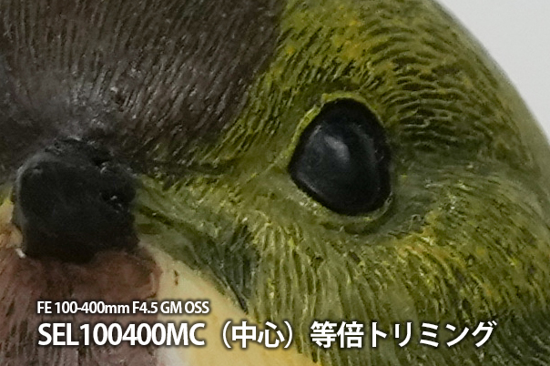 FE 400mm F4.5 GM OSS,SEL400F45GM,望遠単焦点レンズ,FE 400mm F4.5 GM,ソニーストア大阪,体験レビュー,実機レビュー