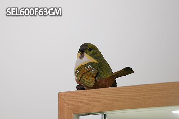 SEL600F63GM,FE 600mm F6.3 GM,SEL400F45GM,望遠単焦点レンズ,FE 400mm F4.5 GM,ソニーストア大阪,体験レビュー,実機レビュー