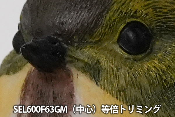 SEL600F63GM,FE 600mm F6.3 GM,SEL400F45GM,望遠単焦点レンズ,FE 400mm F4.5 GM,ソニーストア大阪,体験レビュー,実機レビュー