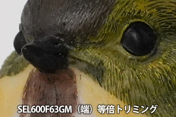 SEL600F63GM,FE 600mm F6.3 GM,SEL400F45GM,望遠単焦点レンズ,FE 400mm F4.5 GM,ソニーストア大阪,体験レビュー,実機レビュー