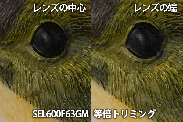 SEL600F63GM,FE 600mm F6.3 GM,SEL400F45GM,望遠単焦点レンズ,FE 400mm F4.5 GM,ソニーストア大阪,体験レビュー,実機レビュー