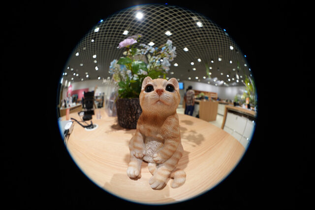 SEL814G,FE 8ｓｖ-14mm F3.5 G Fisheye,魚眼レンズ,フィッシュアイ,ソニーストア,sony