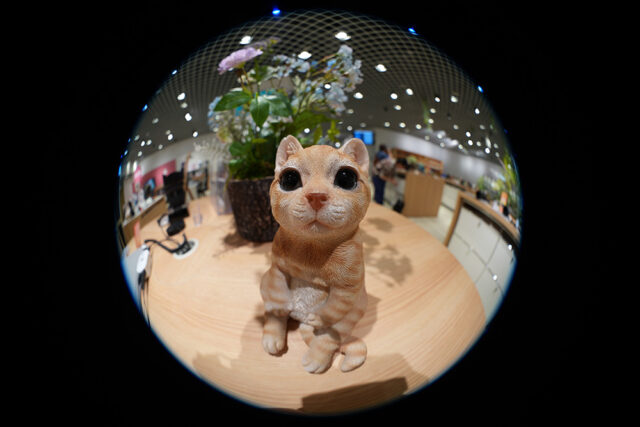 SEL814G,FE 8ｓｖ-14mm F3.5 G Fisheye,魚眼レンズ,フィッシュアイ,ソニーストア,sony