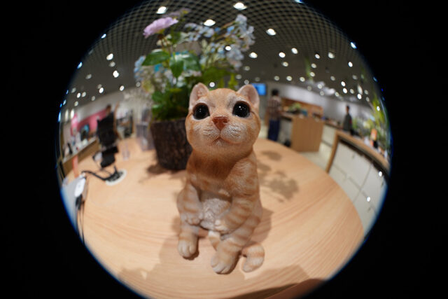 SEL814G,FE 8ｓｖ-14mm F3.5 G Fisheye,魚眼レンズ,フィッシュアイ,ソニーストア,sony