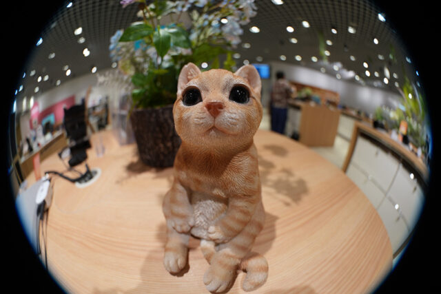 SEL814G,FE 8ｓｖ-14mm F3.5 G Fisheye,魚眼レンズ,フィッシュアイ,ソニーストア,sony